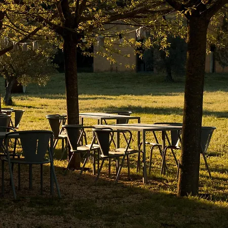 L'olivar * Ventallo