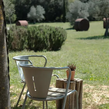 L'olivar *